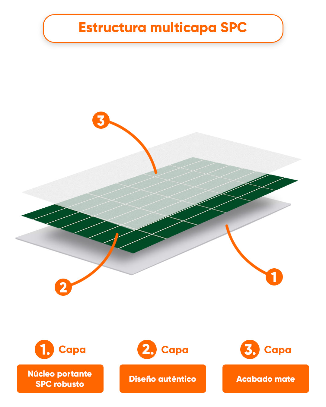 Panel de pared SPC 60x120 cm | Revestimiento de pared impermeable | Tiefe Grünlinie